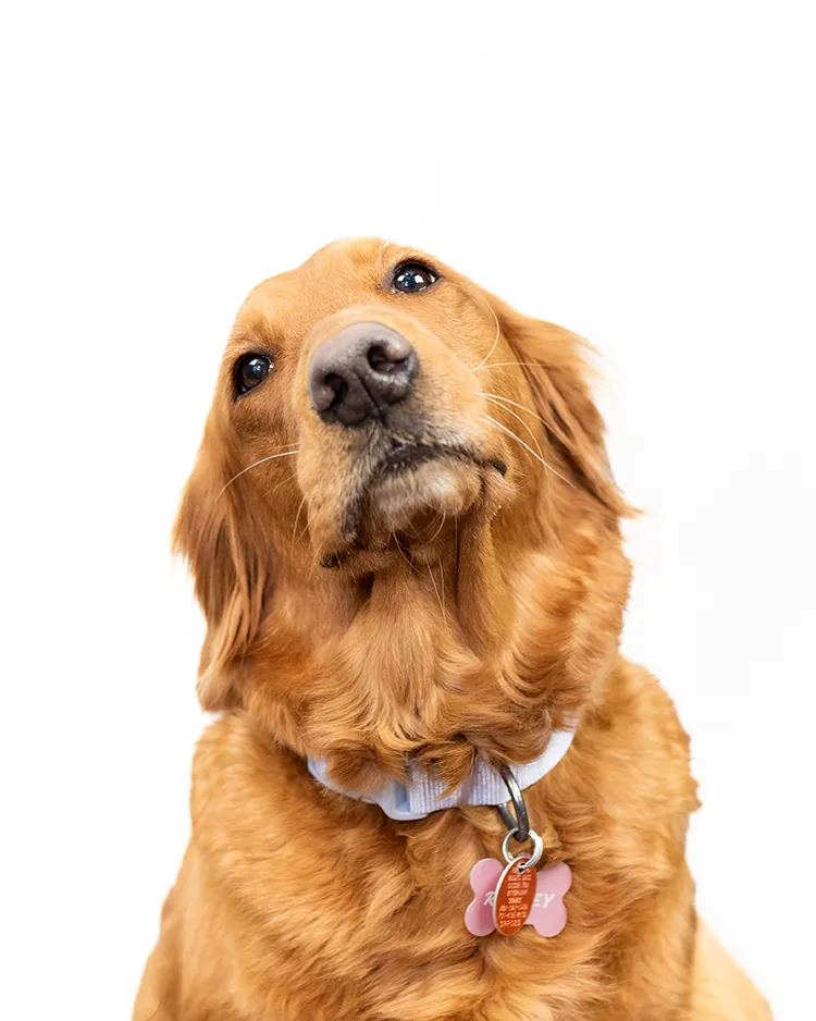 Rainey Rainey Chief Barketing Officer