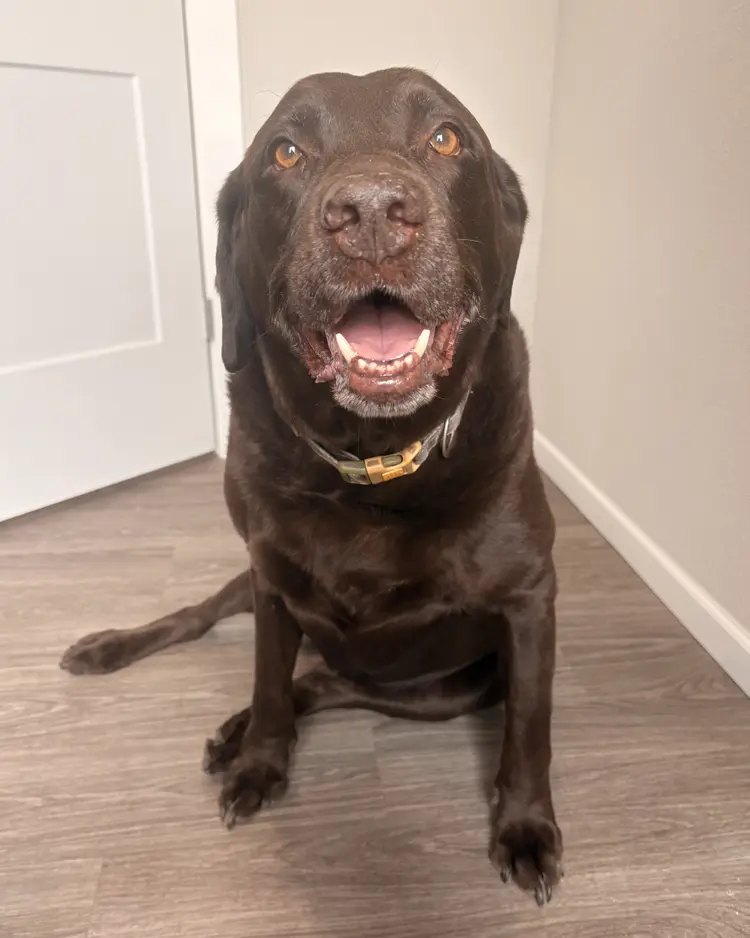 Oliver Oliver Head of Security
